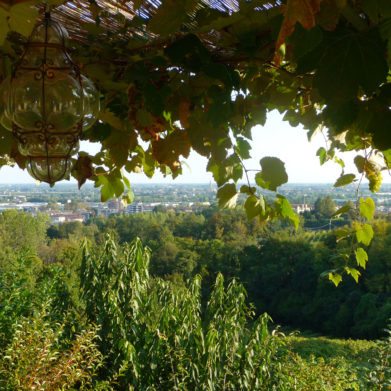 pergola